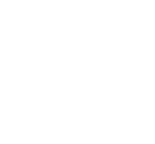 CASA VERGARA